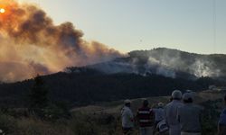 Bursa'daki yangında son durum ne? Bin 765 kişi tahliye edildi! İşte son gelişmeler...
