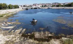 İklim krizine karşı bakanlıktan Beyşehir Gölü hamlesi