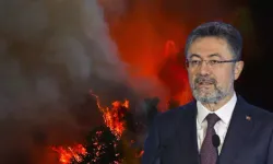 Son dakika: Antalya'da orman yangını! Bakan Yumaklı ve Valilik'ten peş peşe açıklama