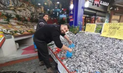 Hamsi bolluğu fiyatları düşürdü
