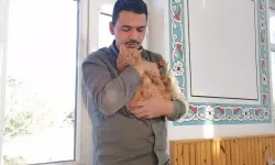 Hınıs’ta Hayvansever İmam: Kedilere Şefkatle Merhameti Anlatıyor