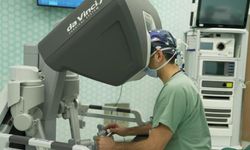 Hormon dengesini bozan kitlelere robotik çözüm