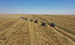 Kalkınma programları kırsal bölgelere iş ve aş oluyor