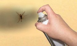 Böcek ilaçlarının satışında yeni düzenleme: Reçetesiz ve internetten satışı yasaklandı