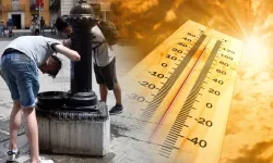 İspanya'da rekor sıcaklarda 1029 kişi hayatını kaybetti