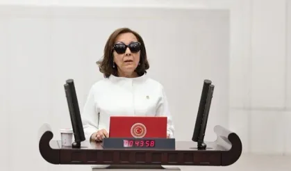 Serap Yazıcı Özbudun, Kurucusu olduğu Gelecek Partisi'nden istifa etti