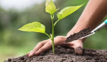 Ankaragücü taraftarlarından Bursa’ya 10 bin fidan desteği