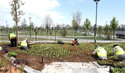 Malatya çiçek bahçesine döndü