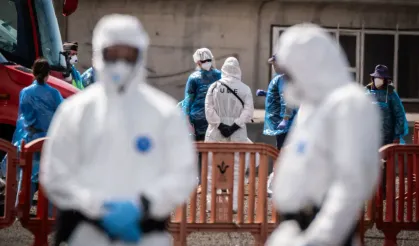 Dünya alarmda! Bir ülke daha kötü haberi duyurdu!  ‘hantavirüs’ Pozitif sayısı artıyor