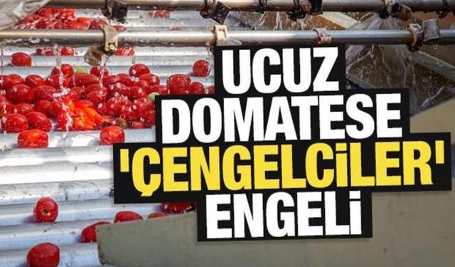 Ucuz domatese 'Çengelciler' engeli