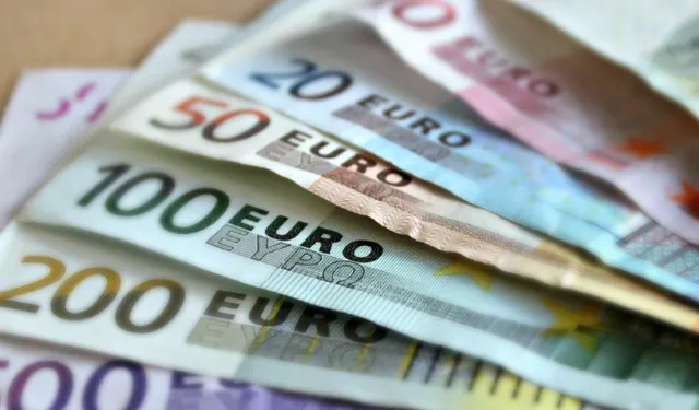 Sınırda şoke eden olay: Yatağın altına sakladığı 524 bin 940 euro ile yakalandı