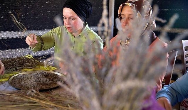 Osmaniye'de yeniden ekonomiye kazandırılan lavanta bahçesi kadınlara gelir kapısı oldu