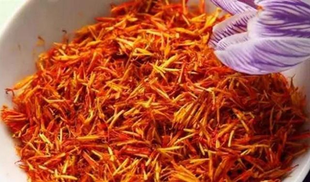 Dünyanın en pahalı baharatı! Adana'da hasat edildi Gramı tam 600 TL