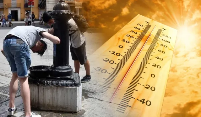 İspanya'da rekor sıcaklarda 1029 kişi hayatını kaybetti