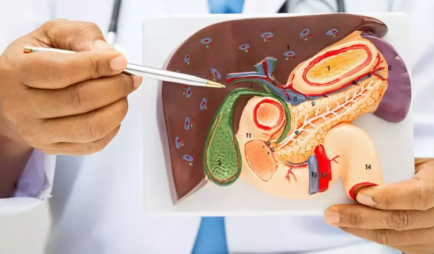 Hazımsızlık deyip geçmeyin: Altında safra kesesi taşı olabilir