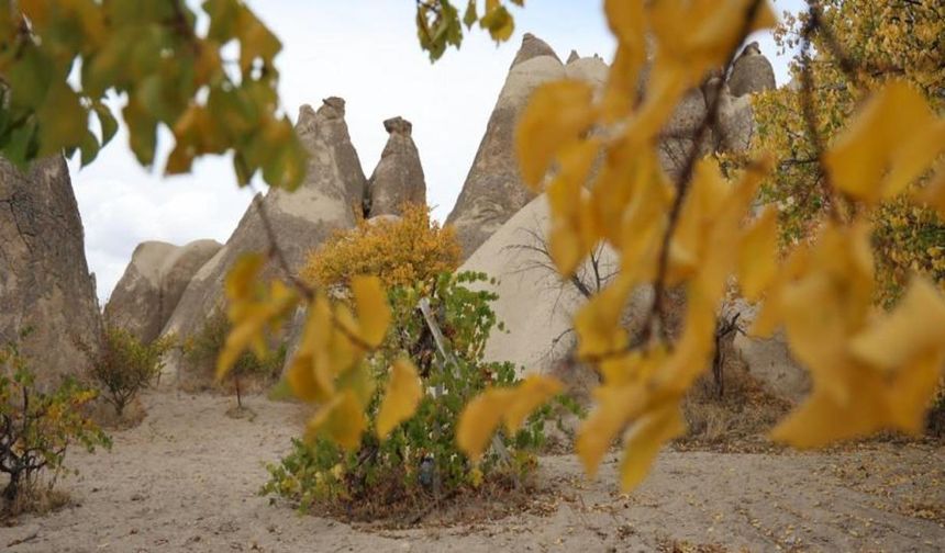 Mevsimin doğaya yansıması: Kapadokya'ya renk kattı!