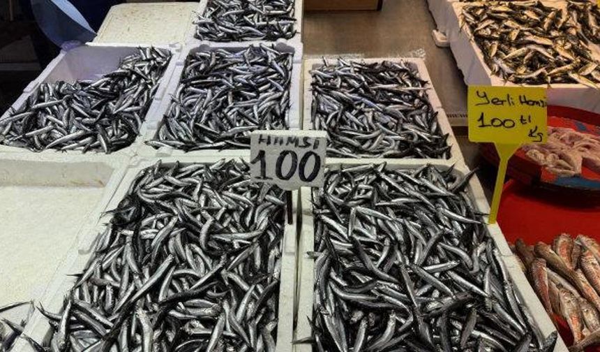 Hamsi ve istavrit 100 liradan satılıyor