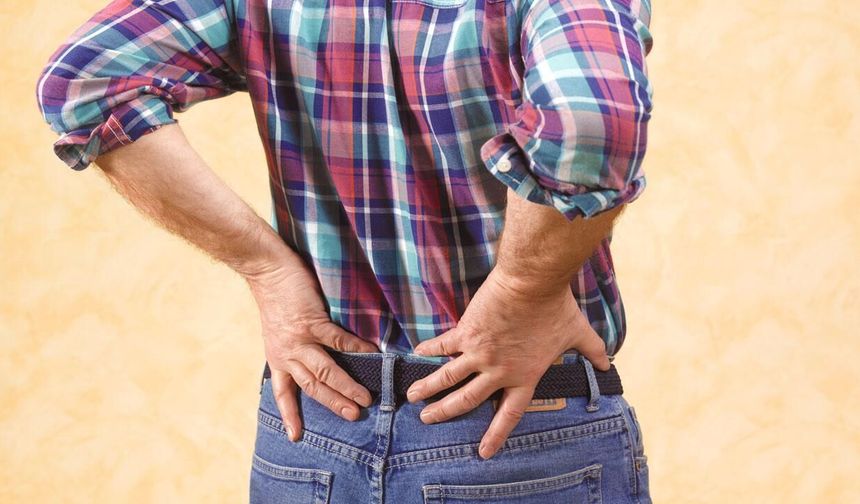 Türkiye'de her 6-7 erişkinden birinde kronik böbrek rahatsızlığı görülüyor